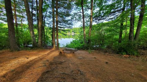 A serene lakeside view framed by tall trees, with a wooden bench on a sandy path and sunlight filtering through the leaves.