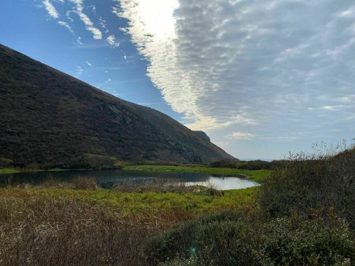 A serene landscape featuring a calm pond surrounded by hills and textured clouds in a blue sky.