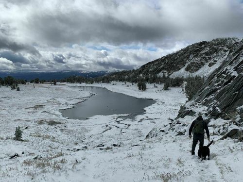 A person walks a dog along a snowy landscape by a lake, surrounded by mountains and cloudy skies.