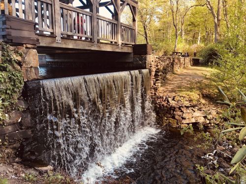 A wooden bridge over a waterfall, surrounded by lush greenery and a peaceful path in a forested area.