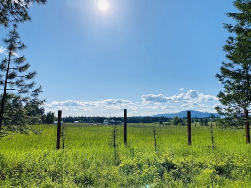 A sunny landscape featuring green grass, distant mountains, and a fence with trees on either side under a blue sky.