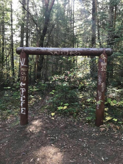 A wooden archway in a forest, with graffiti on the posts and surrounded by trees and foliage.