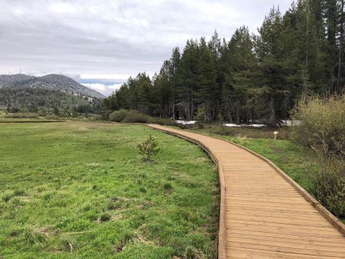 A wooden boardwalk winds through a grassy area surrounded by trees and mountains under a cloudy sky.