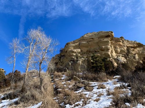 A rocky cliff under a clear blue sky, with sparse trees and patches of snow on the ground.