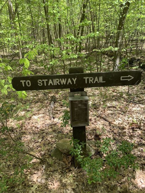 Wooden sign pointing to "Stairway Trail" with a directional arrow, surrounded by lush green foliage.