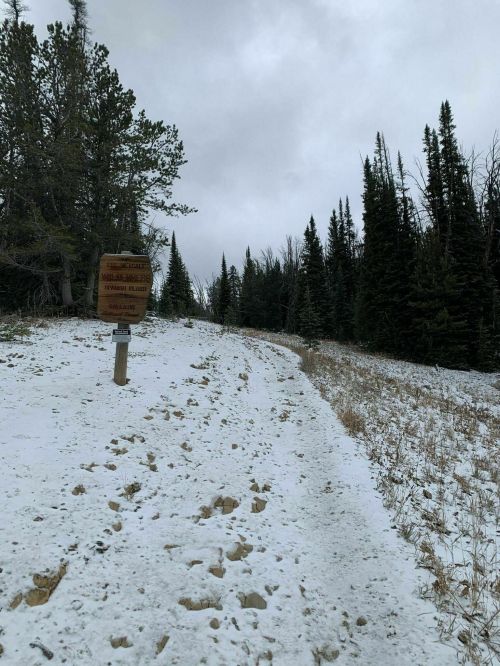 A snowy trail leads through a forest, with a wooden signpost visible on the left. Overcast sky above.