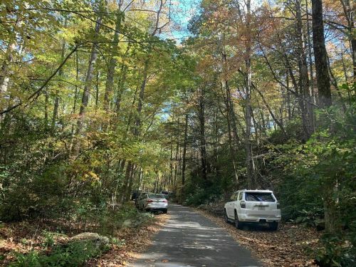 A narrow road surrounded by trees in autumn colors, with two parked cars on the side.