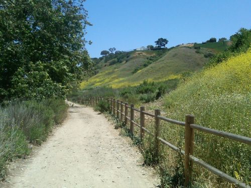 A dirt path lined with a wooden fence, surrounded by green hills and wildflowers under a clear blue sky.