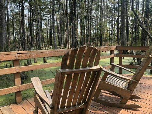 Two wooden rocking chairs on a deck overlooking a serene swamp with tall trees and green water.