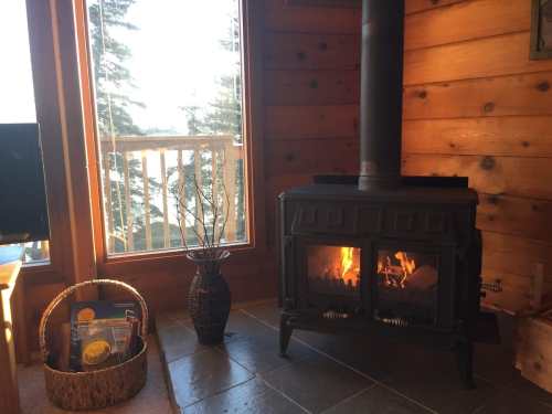 Cozy wood stove in a rustic cabin, with a view of trees through a large window and a basket of books nearby.