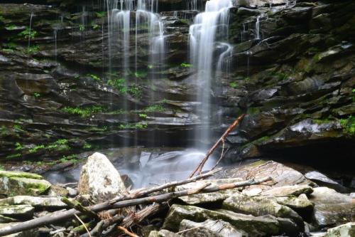 A serene waterfall cascading over rocky cliffs, surrounded by lush greenery and scattered logs on the ground.
