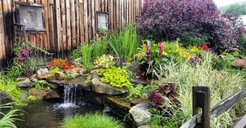 A vibrant garden with colorful flowers, lush greenery, and a small pond with a gentle waterfall beside a wooden building.