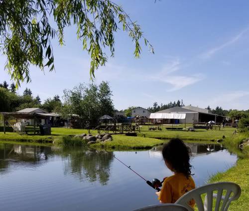 A child sits by a pond, fishing, with a scenic view of greenery and buildings in the background under a clear blue sky.
