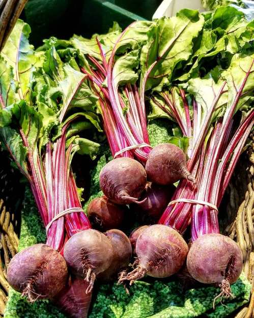 A basket of fresh beets with vibrant green leaves and deep purple roots, resting on a green cloth.