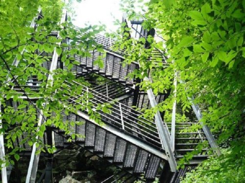 A spiral staircase surrounded by lush green foliage and trees, leading upward through a natural setting.