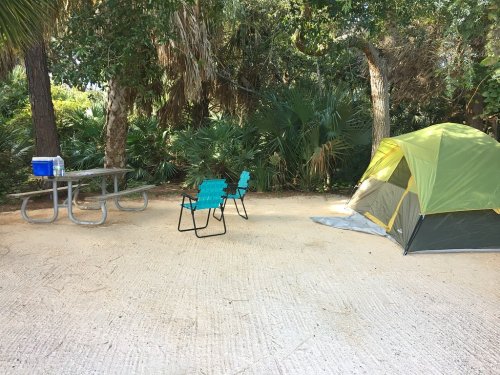 A campsite with a green tent, two blue chairs, a picnic table, and a cooler surrounded by lush greenery.