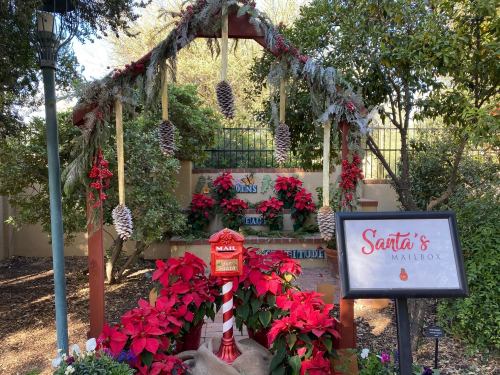 A festive display featuring Santa's mailbox surrounded by poinsettias and pinecones, decorated for the holiday season.