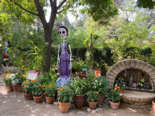 A colorful garden scene featuring a large skeleton figure surrounded by vibrant plants and flowers in terracotta pots.