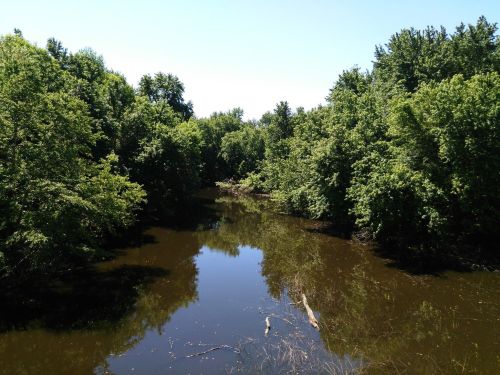 A serene river surrounded by lush green trees under a clear blue sky.