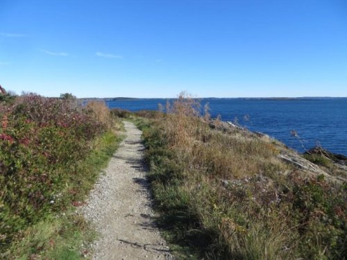 A scenic coastal path lined with grass and shrubs, leading to a clear blue ocean under a bright blue sky.