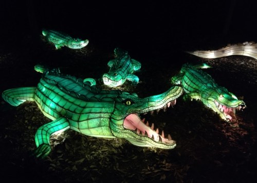 Illuminated crocodile sculptures in green light, set against a dark background with fallen leaves.