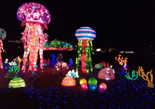 Colorful illuminated jellyfish and coral decorations in a dark setting, creating a vibrant underwater scene.