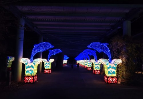 A pathway illuminated by colorful lanterns shaped like dolphins and flowers, creating a festive nighttime atmosphere.
