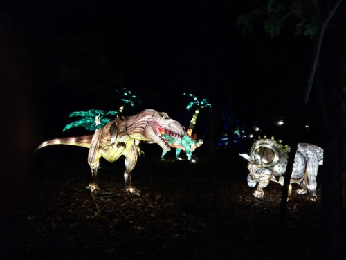 Colorful illuminated dinosaur lanterns in a dark forest setting, featuring a T-rex and a triceratops.