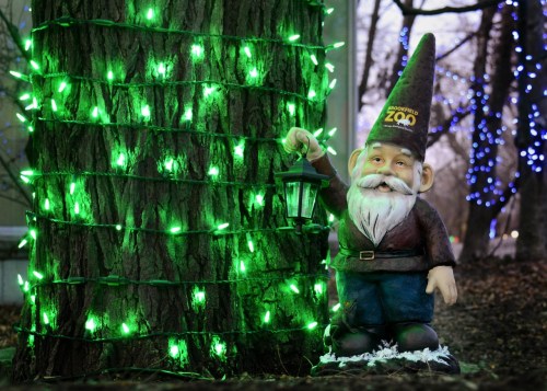 A garden gnome holding a lantern stands beside a tree wrapped in green lights, with colorful lights in the background.
