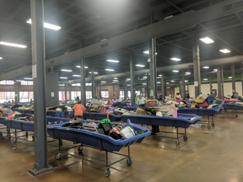 A spacious thrift store with blue carts filled with assorted items and shoppers browsing in the background.