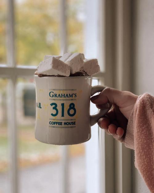 A hand holds a mug filled with hot chocolate topped with marshmallows, near a window with autumn scenery outside.