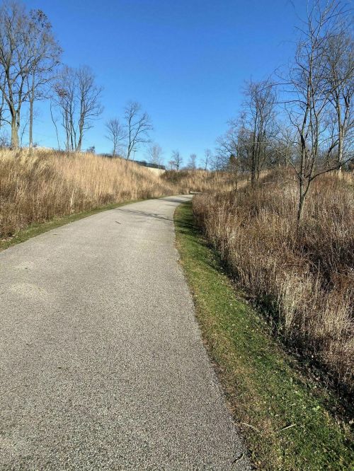 A winding path through a grassy area with sparse trees under a clear blue sky.