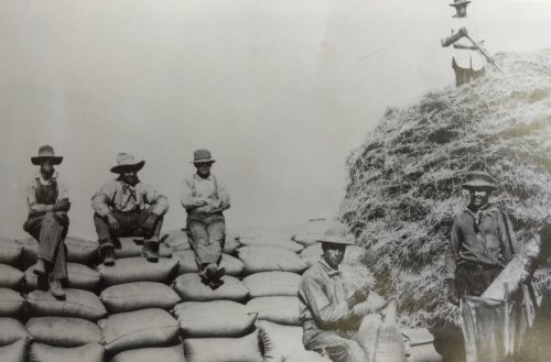Black and white photo of five men sitting on hay bales, with one man stacking hay in the background.