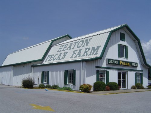 A large white barn with green trim, featuring the sign "Heaton Pecan Farm" on the roof and front.