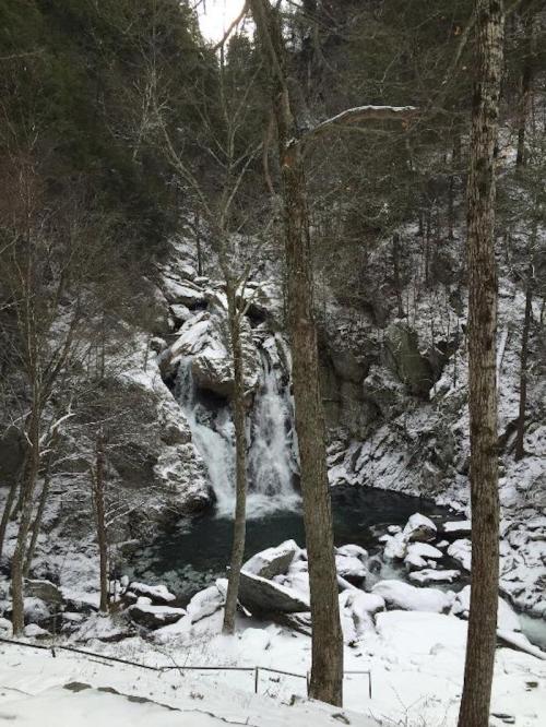 A snowy landscape featuring a waterfall cascading into a pool, surrounded by rocky terrain and tall trees.