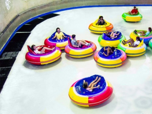 A group of people enjoying bumper cars on a smooth surface, surrounded by colorful car designs.