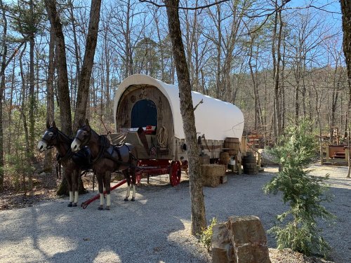 A covered wagon with two horses hitched, surrounded by trees and rustic decor in a gravel setting.
