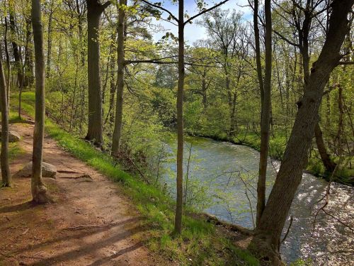 A serene river flows through a lush green forest, with sunlight filtering through the trees along a dirt path.