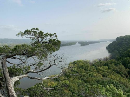 A scenic view of a winding river surrounded by lush greenery and hills under a clear sky.