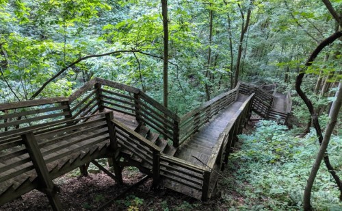A winding wooden staircase surrounded by lush green trees in a forested area.