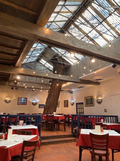 Cozy restaurant interior with wooden beams, a central tree, and tables set with red tablecloths under a glass roof.