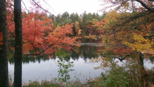 A serene lake surrounded by vibrant autumn foliage in shades of red, orange, and yellow, reflecting on the water.