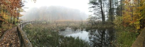 A foggy autumn landscape featuring a serene pond surrounded by colorful trees and a wooden walkway.