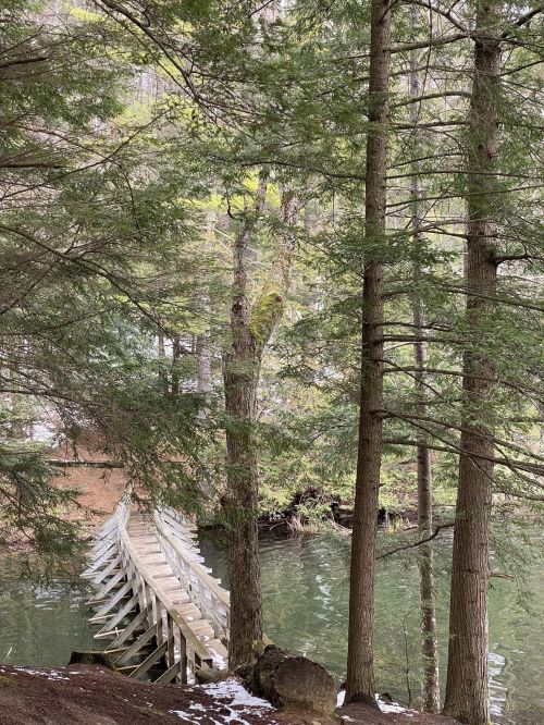 A wooden bridge crosses a calm, green lake, surrounded by tall trees and a serene natural setting.