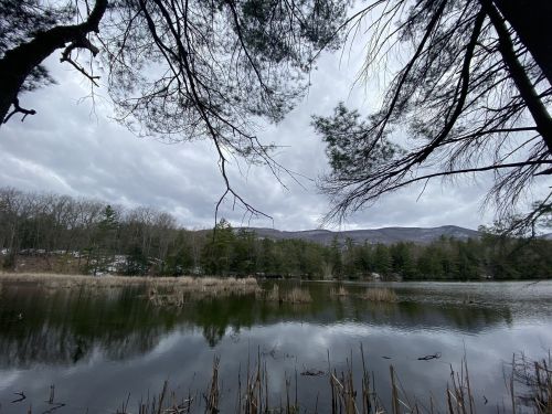 A serene lake surrounded by trees, reflecting cloudy skies and distant mountains in the background.