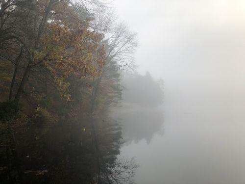A serene, foggy landscape with trees reflecting on a calm lake surface. Autumn leaves are visible on the branches.