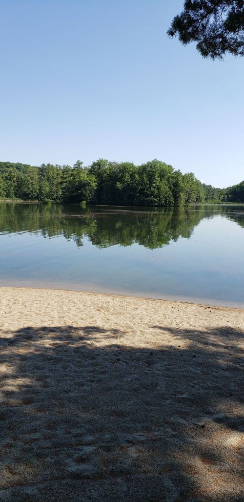 A serene lake surrounded by trees, reflecting the clear blue sky, with a sandy shore in the foreground.