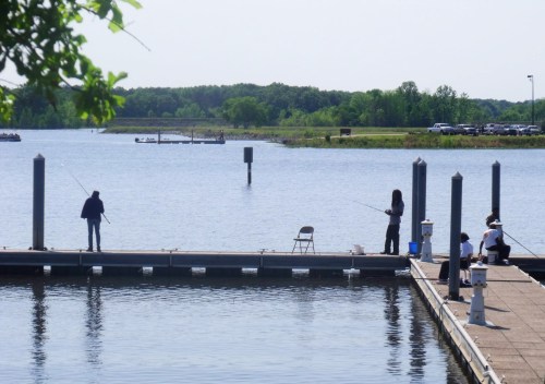 Two people fish from a dock by a calm lake, with trees and a distant boat in the background on a sunny day.