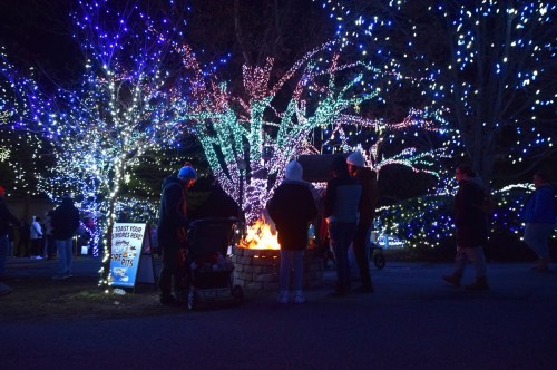 A festive scene with colorful lights on trees, people gathered around a fire, and a sign nearby.