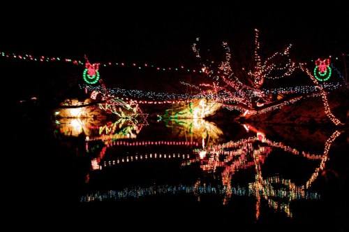 Colorful holiday lights reflect on a dark water surface, creating a festive and vibrant nighttime scene.